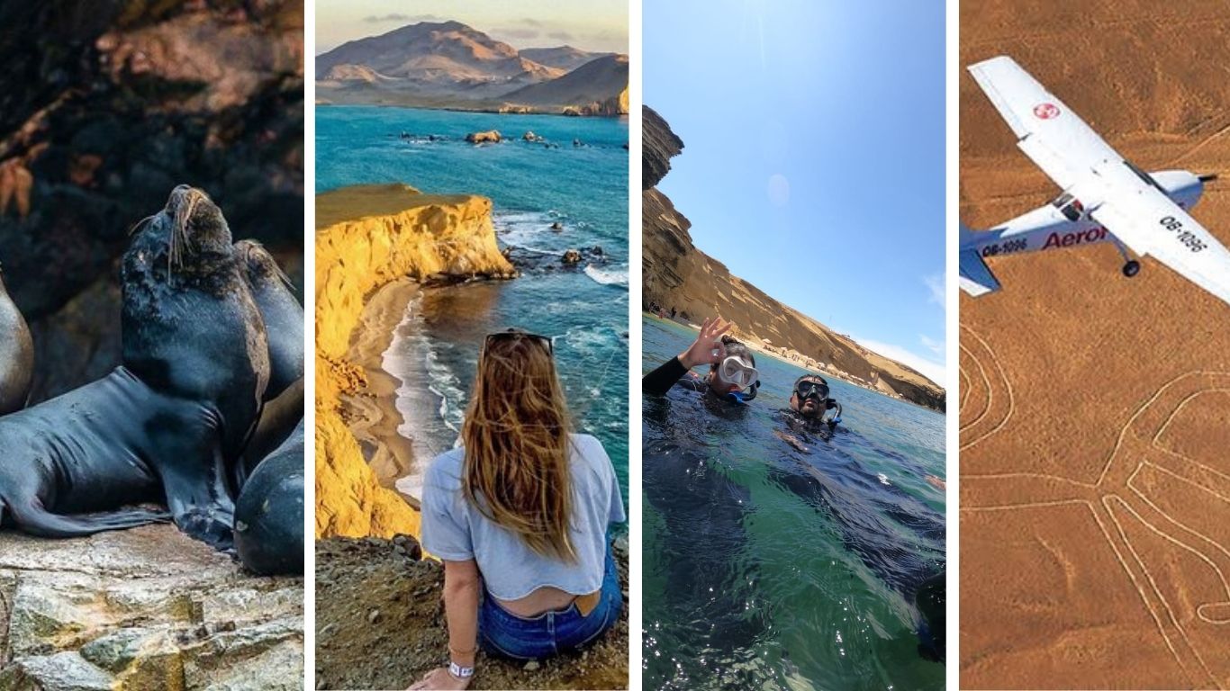 Paracas - Alpha Travel